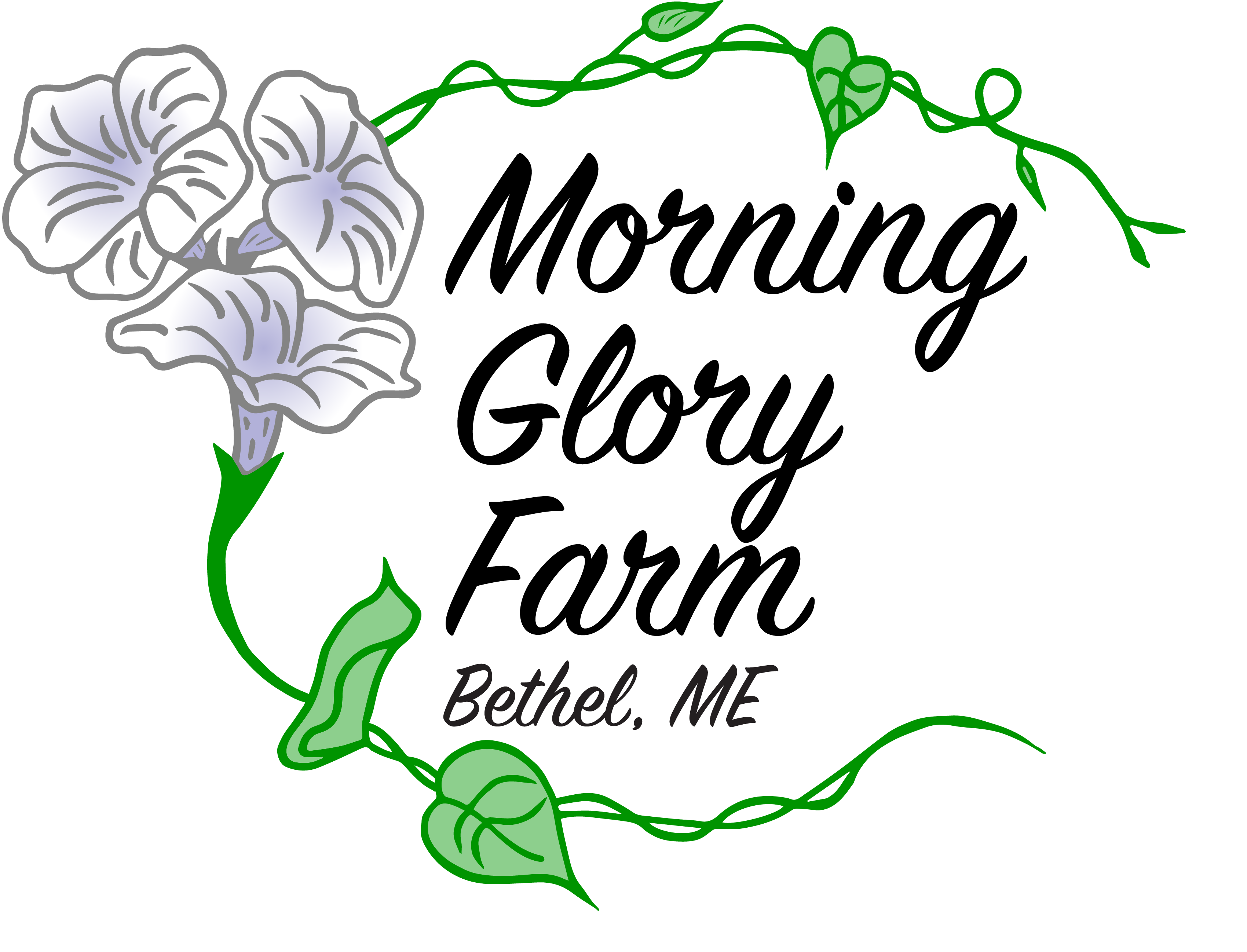 Morning Glory Farm