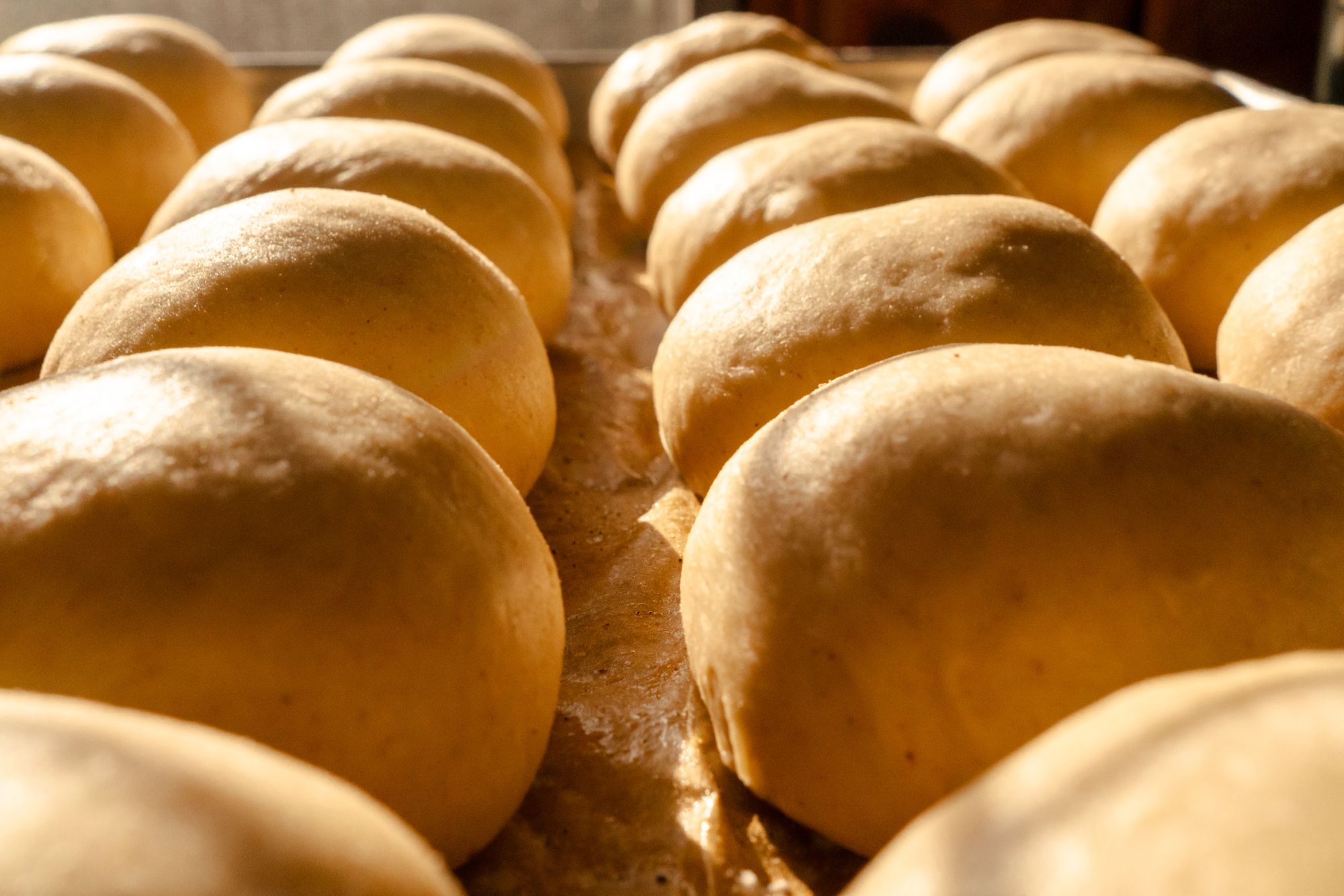 Raw dough on a rack